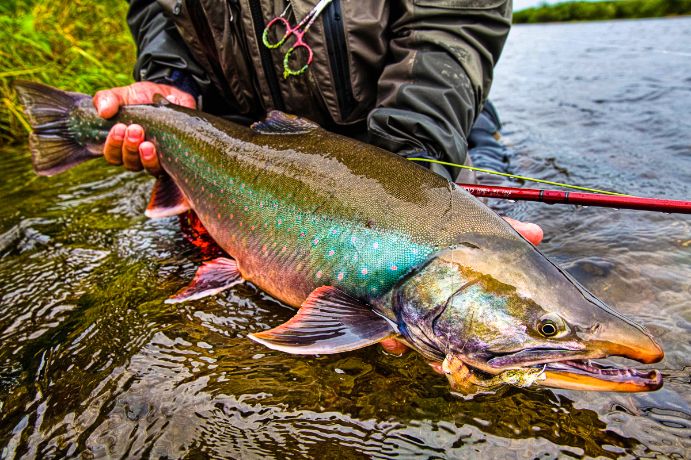 Recommended Gear for Savan River Lodge Float Trip, Kamchatka Russia
