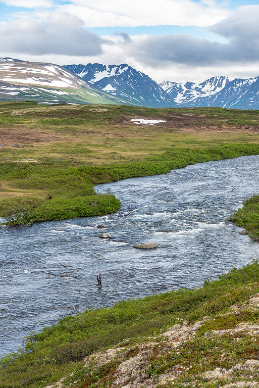 Royal Wolf Lodge - Alaska