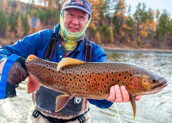 Amur Trout