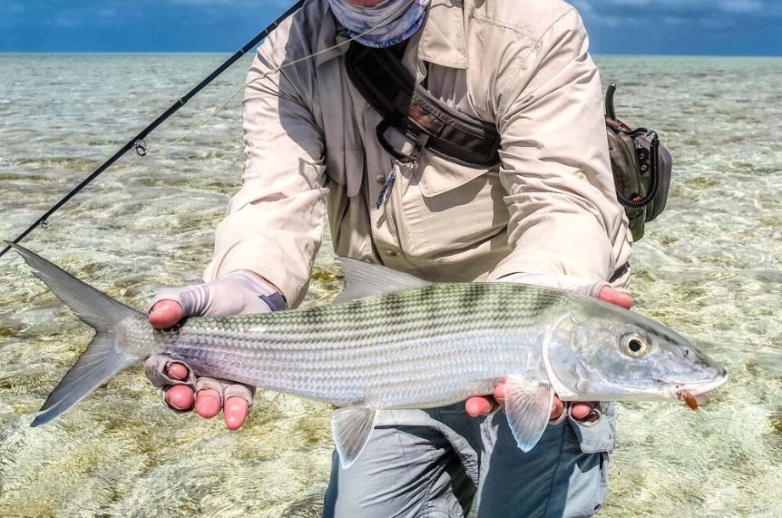 Bonefish