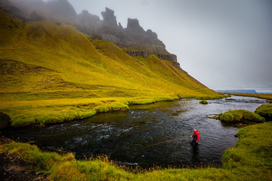 Fish Partner, Iceland