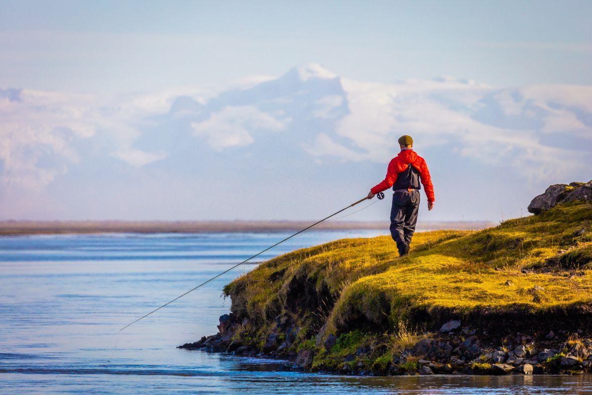 Fish Partner, Iceland