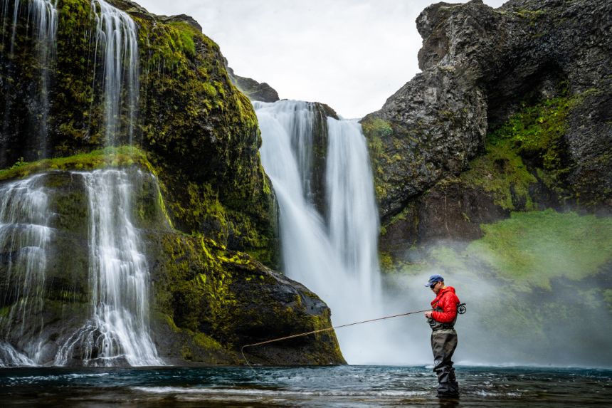 Fish Partner, Iceland