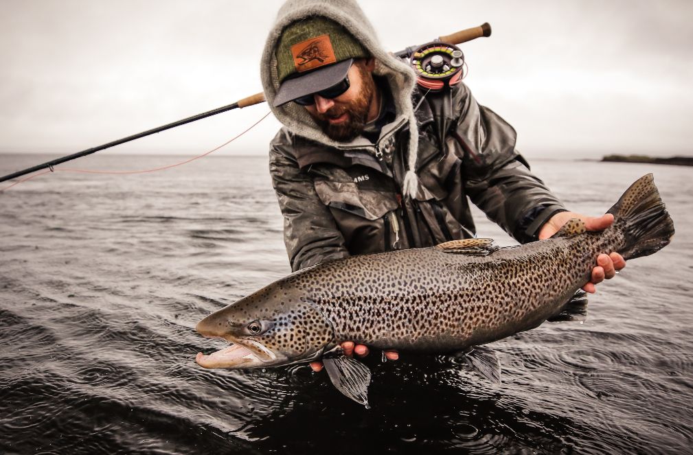 Fish Partner, Iceland