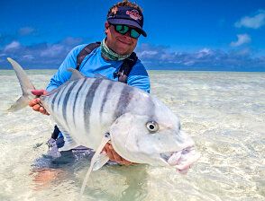 Golden Trevally