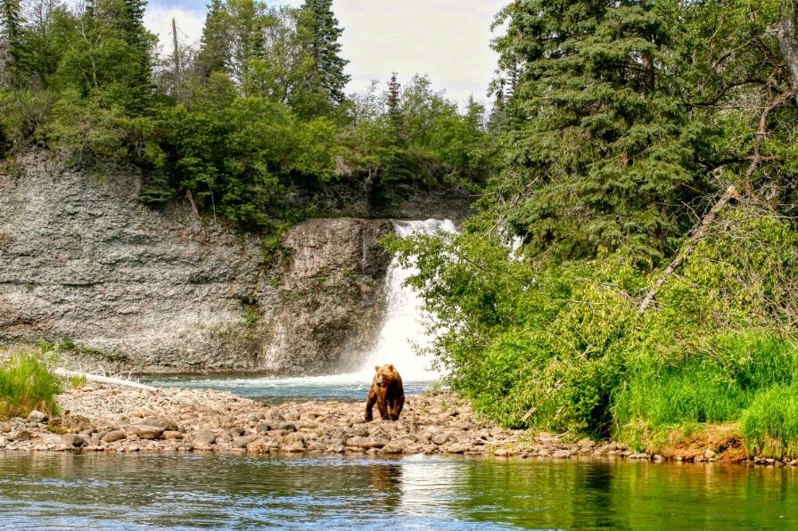 Iliamna River Lodge, Alaska