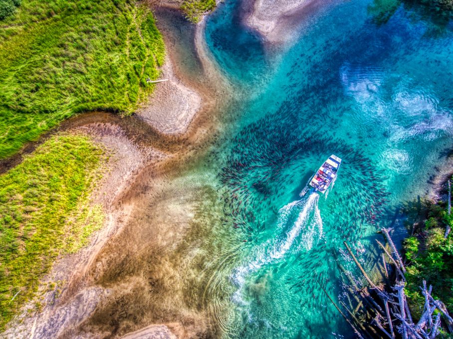 Iliamna River Lodge, Alaska