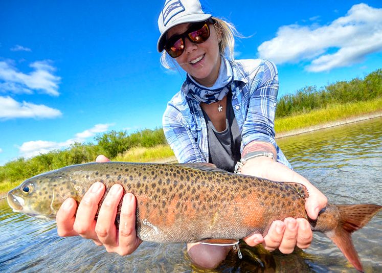 Trout Pattern Hat Bands Rainbow Trout