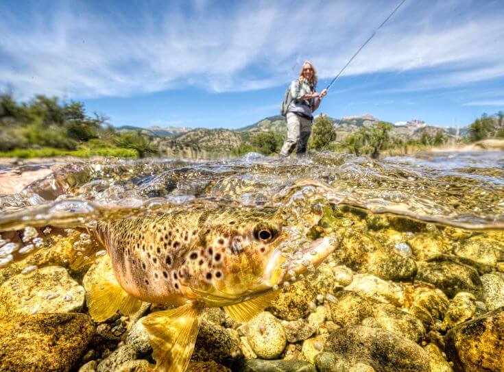 Fly Fishing Andes, Trout Fishing Northern Patagonia, Argentina •