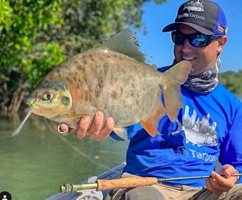 Pacu