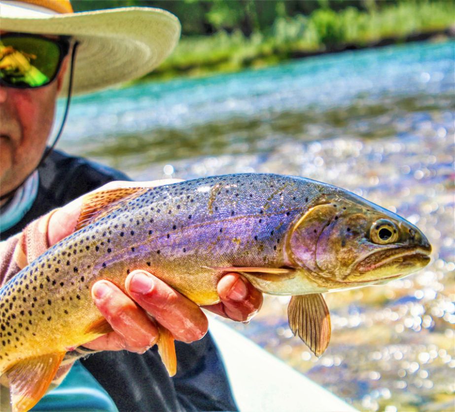 South Fork Lodge, Swan Valley, Idaho