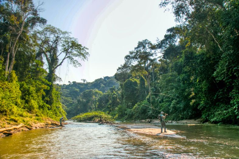 Pirarucú Lodge, Brazil