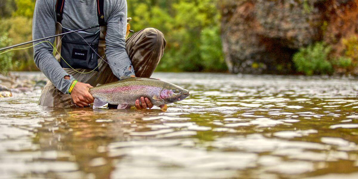 Rainbow River Lodge, Alaska