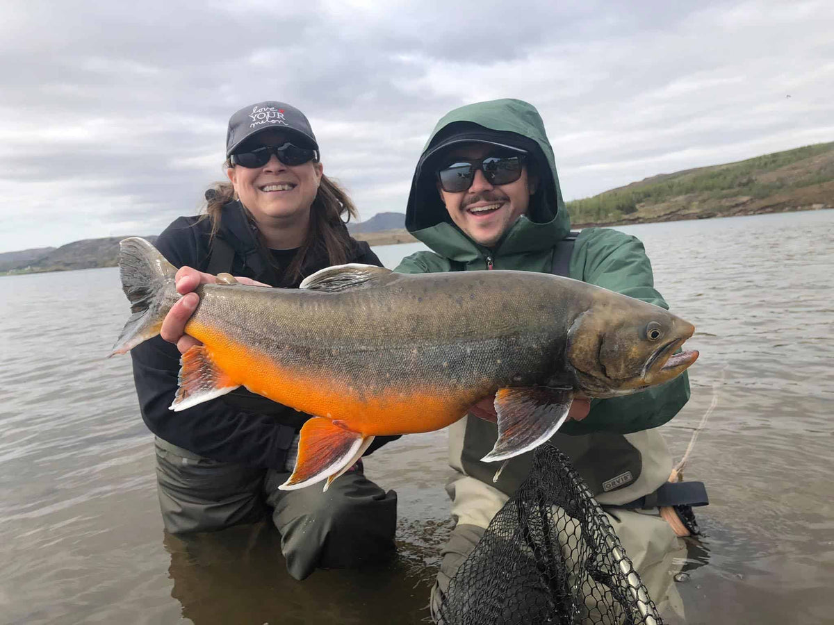 Highland and Thingvallavtn Combo