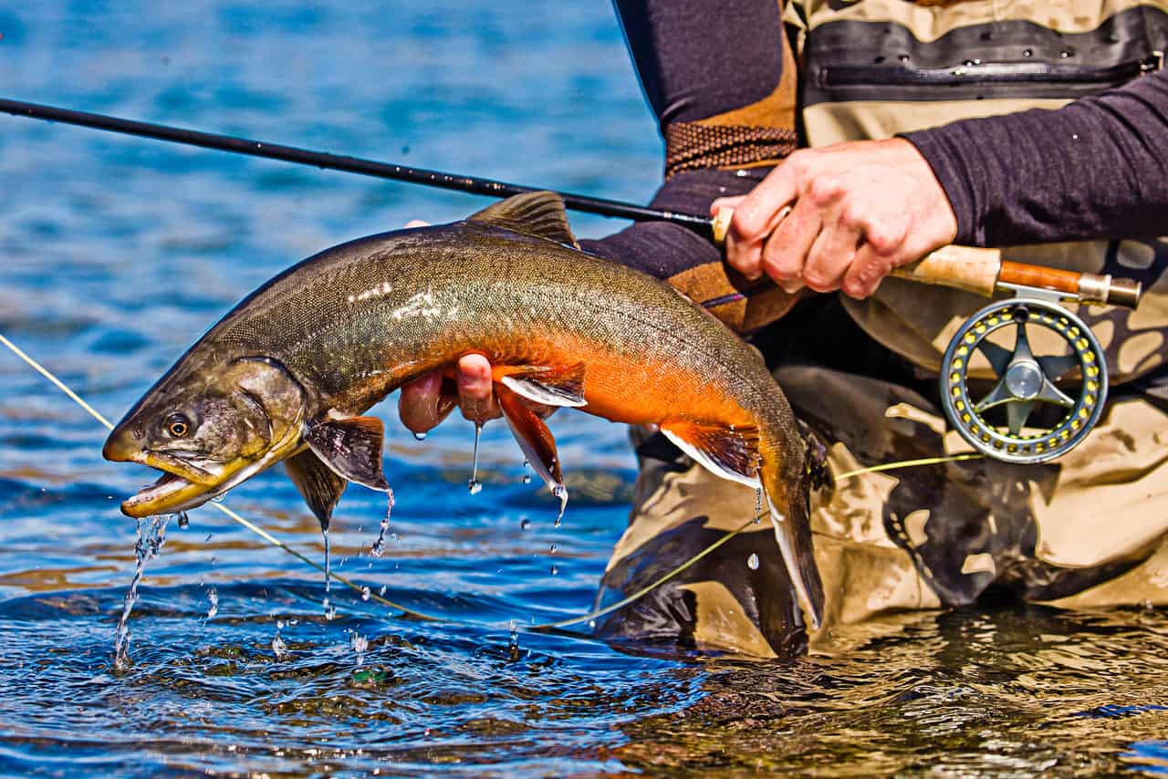 Highland Rivers - Fully Guided