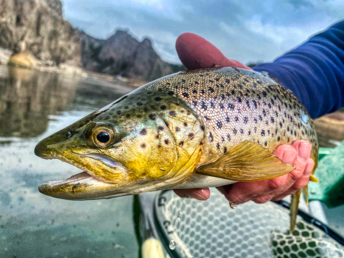 On DeMark Lodge - Montana - September