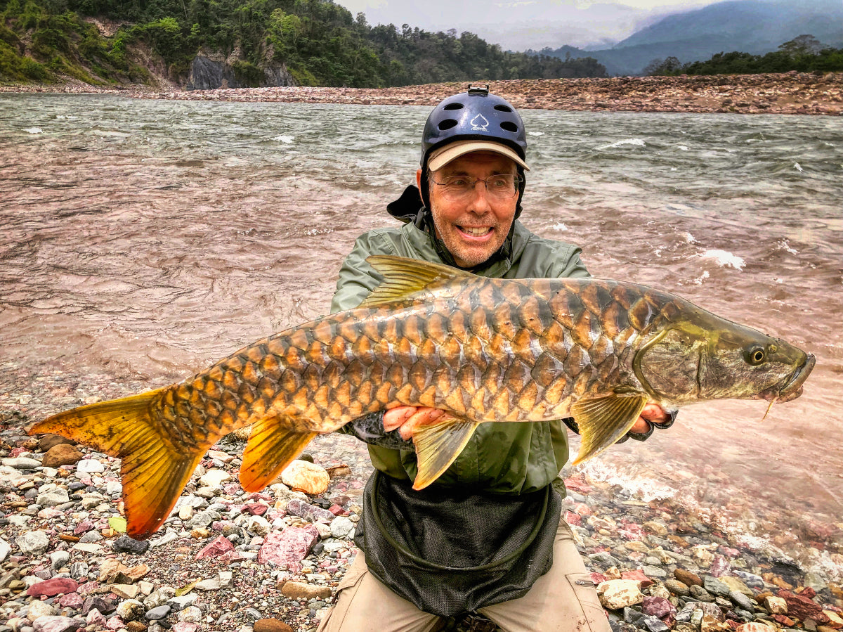 Golden Mahseer