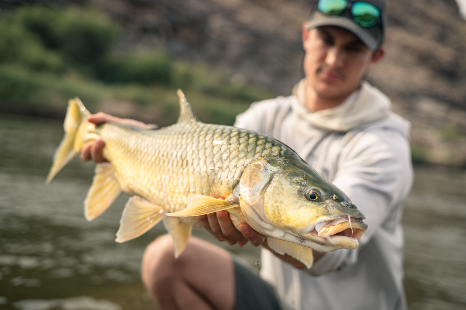 Yellowfish