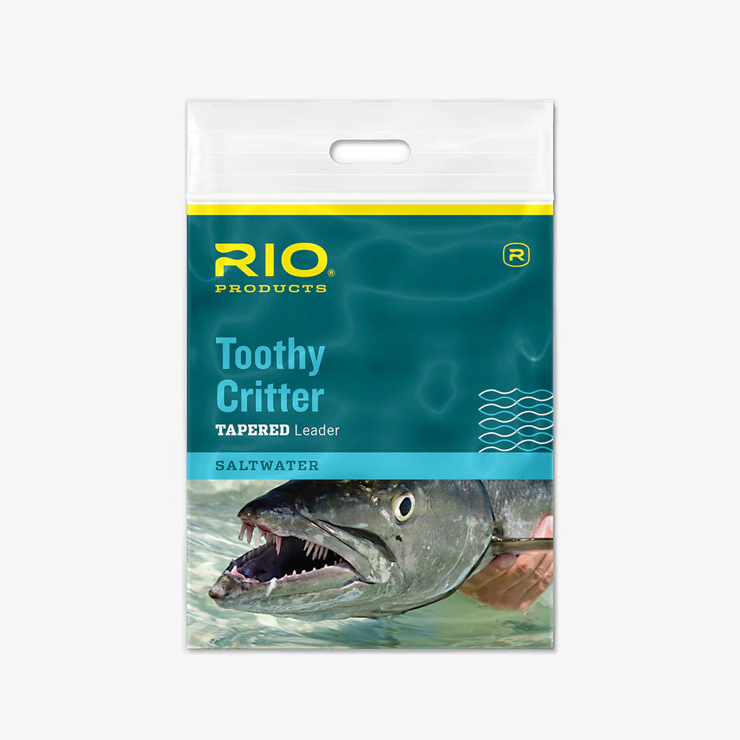 TOOTHY CRITTER II   STAINLESS