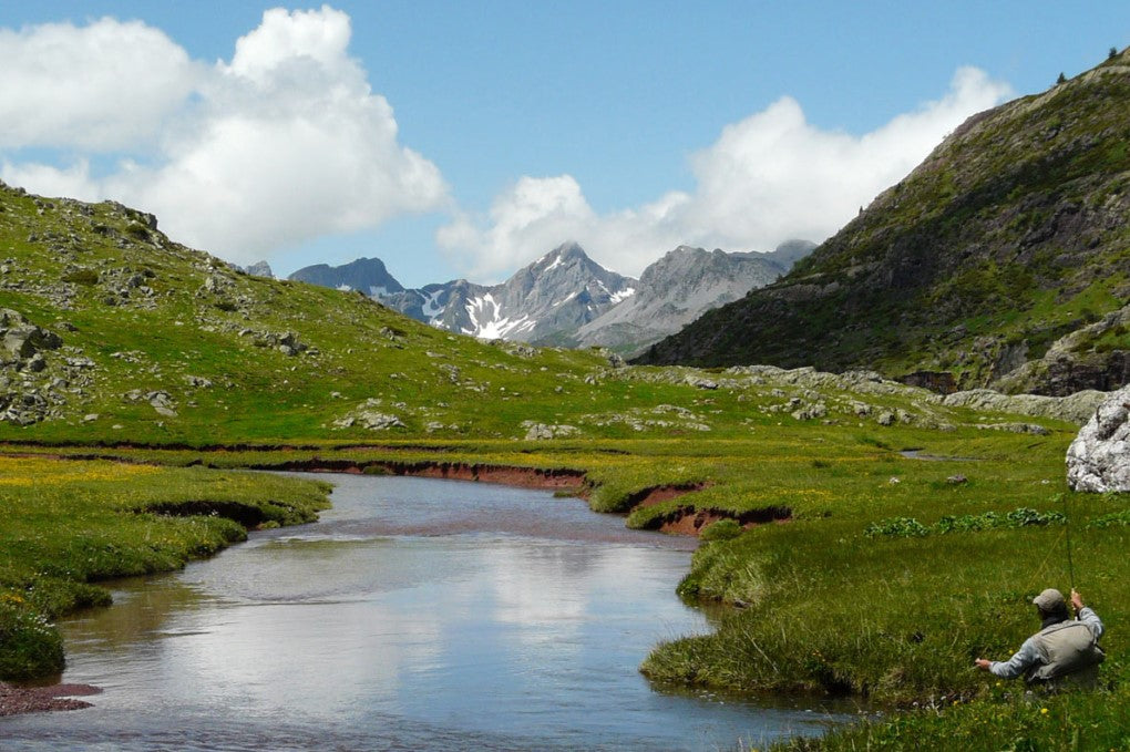 Salvelinus - Spain