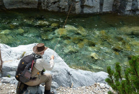 Salvelinus - Spain