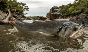 Mapiri Lodge Expedition - Colombia