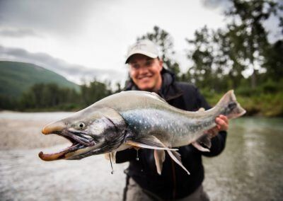 Arctic Char