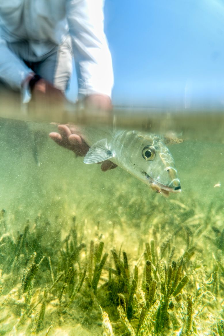 Blue Bonefish Lodge, Belize