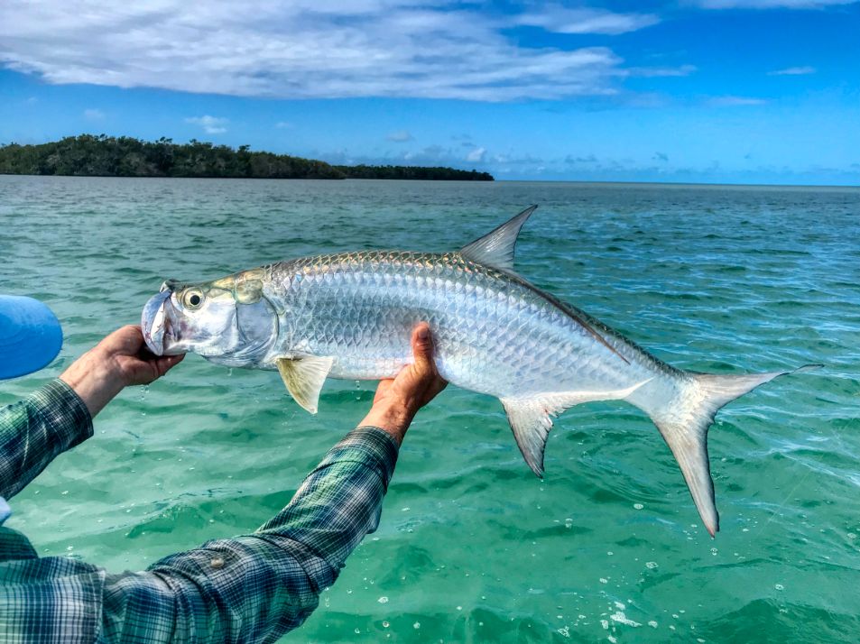 Blue Bonefish Lodge, Belize