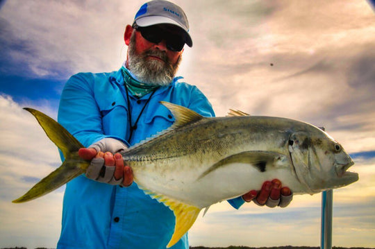 Jack Crevalle