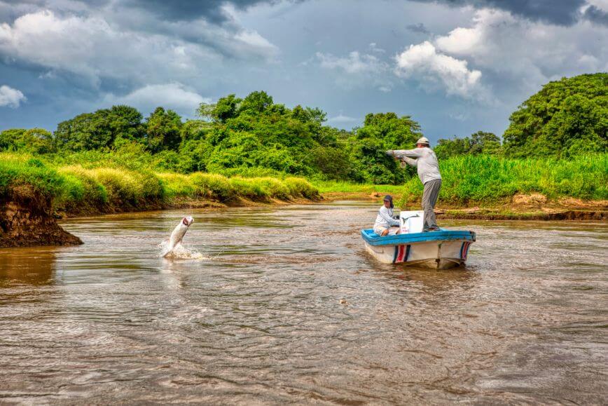 Quest of the Jungle Tarpon - Costa Rica