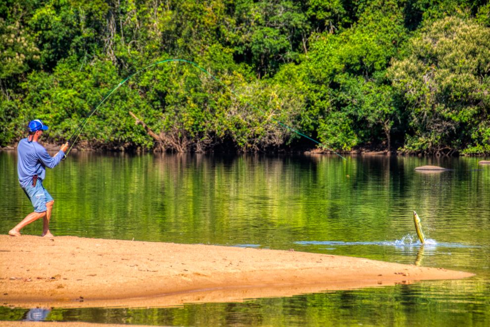 Kendjam, Brazil