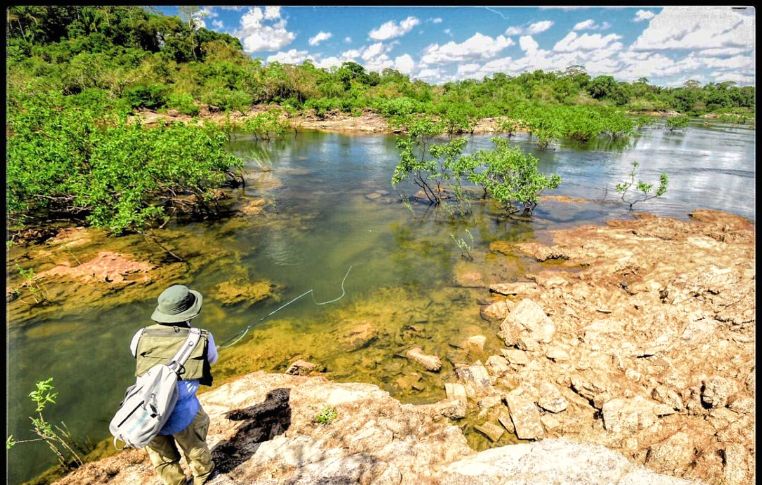 Kendjam, Brazil