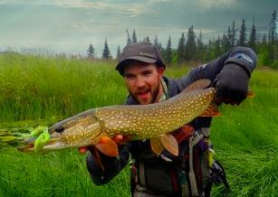 Northern Pike