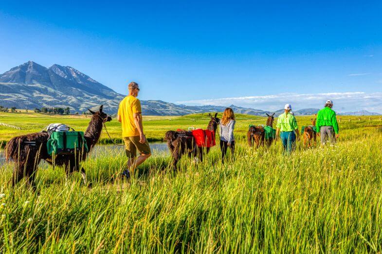 Sage Lodge, Montana