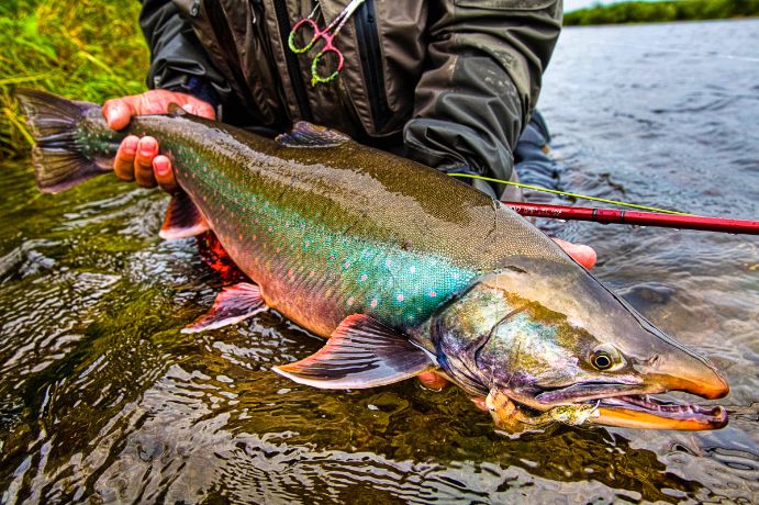 Savan River Lodge Float Trip, Kamchatka Russia