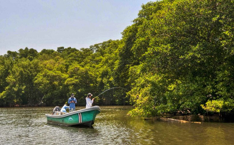 Tarponville Lodge, Costa Rica