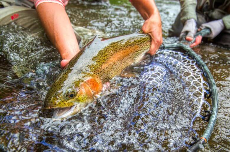 Taylor River Lodge, Colorado