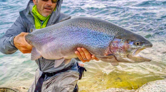 Jurassic Lake Lodge, Argentina