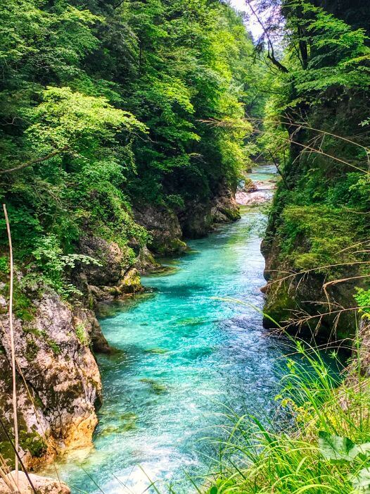 Vila Noblesa Lodge, Slovenia