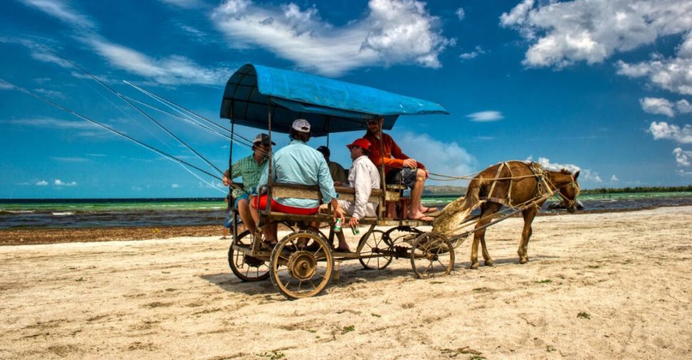 Zapata, Cuba